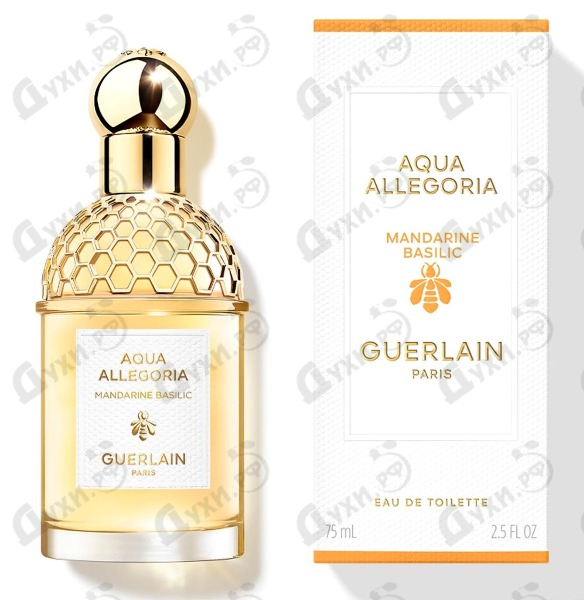 ?????? Guerlain Aqua Allegoria Mandarine Basilic ?? ????.?? aqua allegoria mandarine basilic guerlain